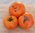 Tomate *Altaische Orange*