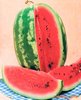 Wassermelone *Favorit*
