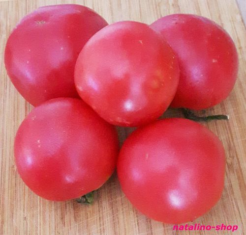 Tomate *Maliniak*