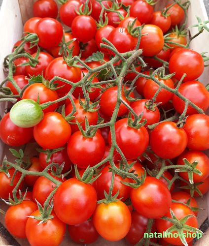 Tomate *Rosii Marunte*