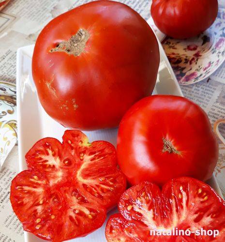 Tomate *Kasachstan Rubin*