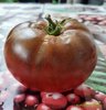 Tomate *Black Krim*