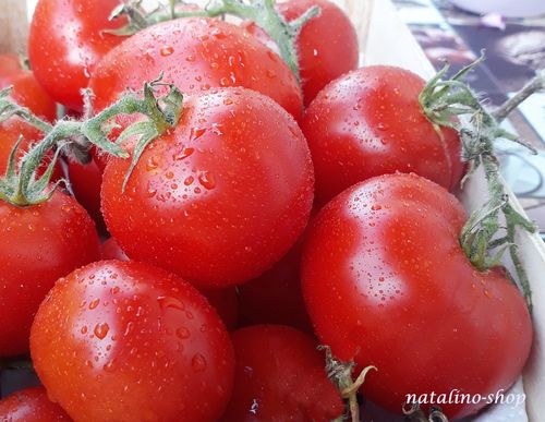 Tomate *Sasa*