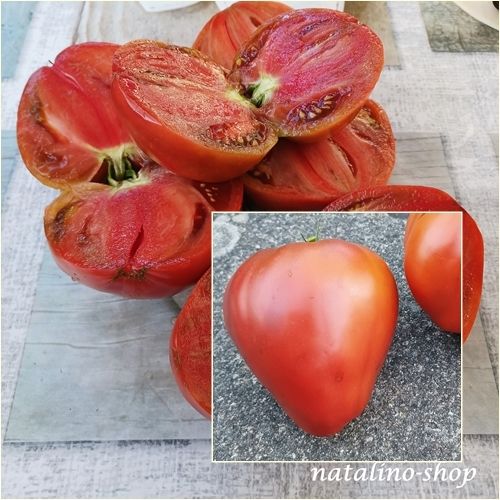 Tomate *Tundra*